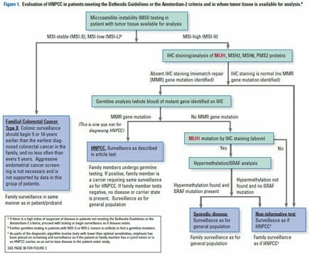 Evaluation of HNPCC in patients