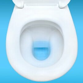 Hemorrhoids Center Stage in Sit vs. Squat Debate Hemorrhoids Center Stage in Sit vs. Squat Debate