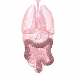 Cut Your Risk of Colon Cancer with a Colonoscopy