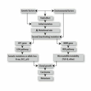 Colorectal Cancer Genetics For Dummies (Figure 1) Colorectal Cancer Genetics For Dummies (Figure 1)