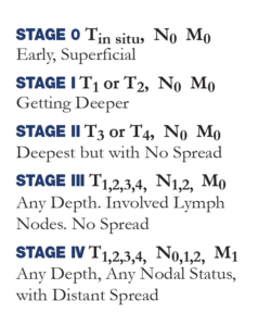 RECTAL STAGING GRAPHIC